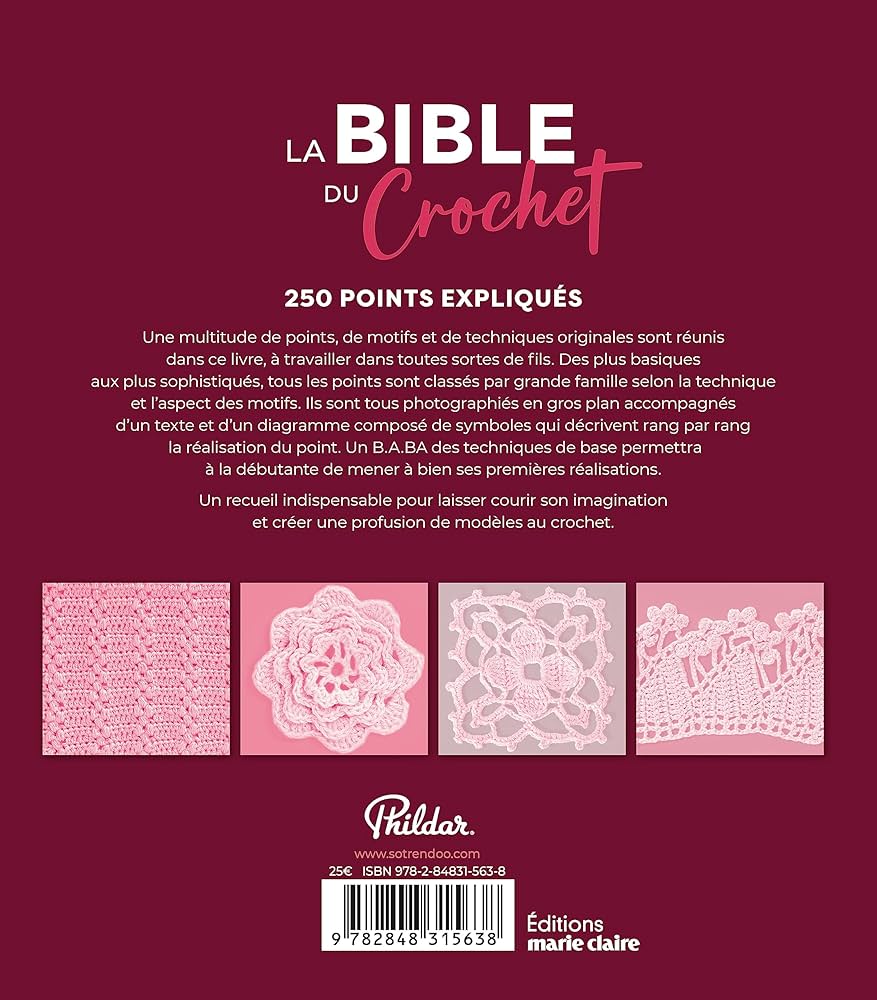 La Bible du Crochet 250 points expliqués