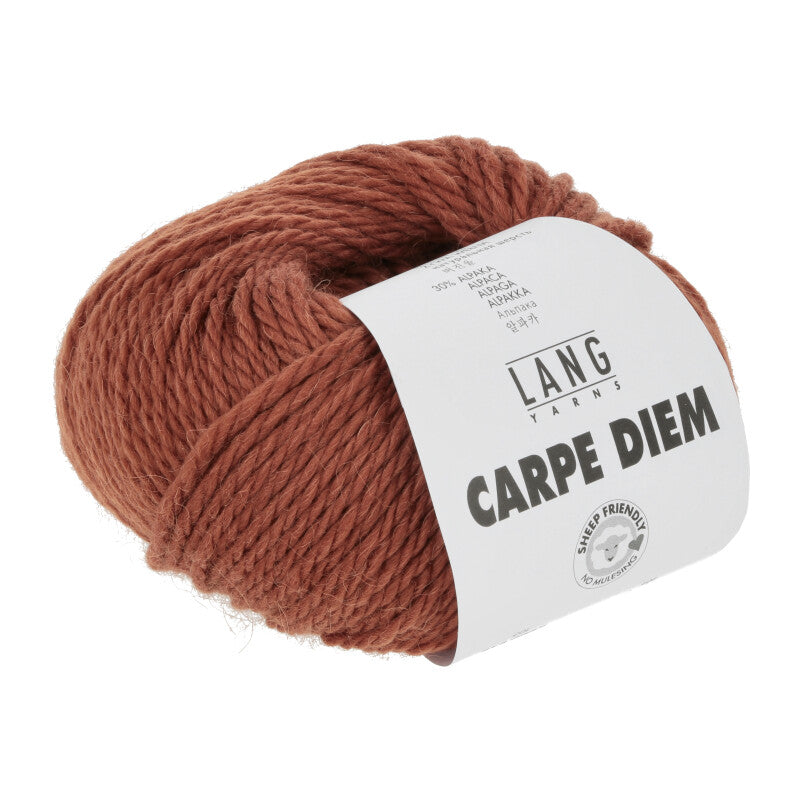 Carpe Diem -  70% Laine vierge, 30% Alpaga