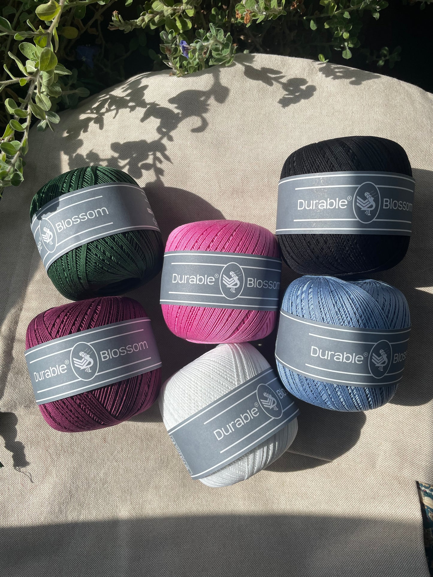 Blossom - 100% coton